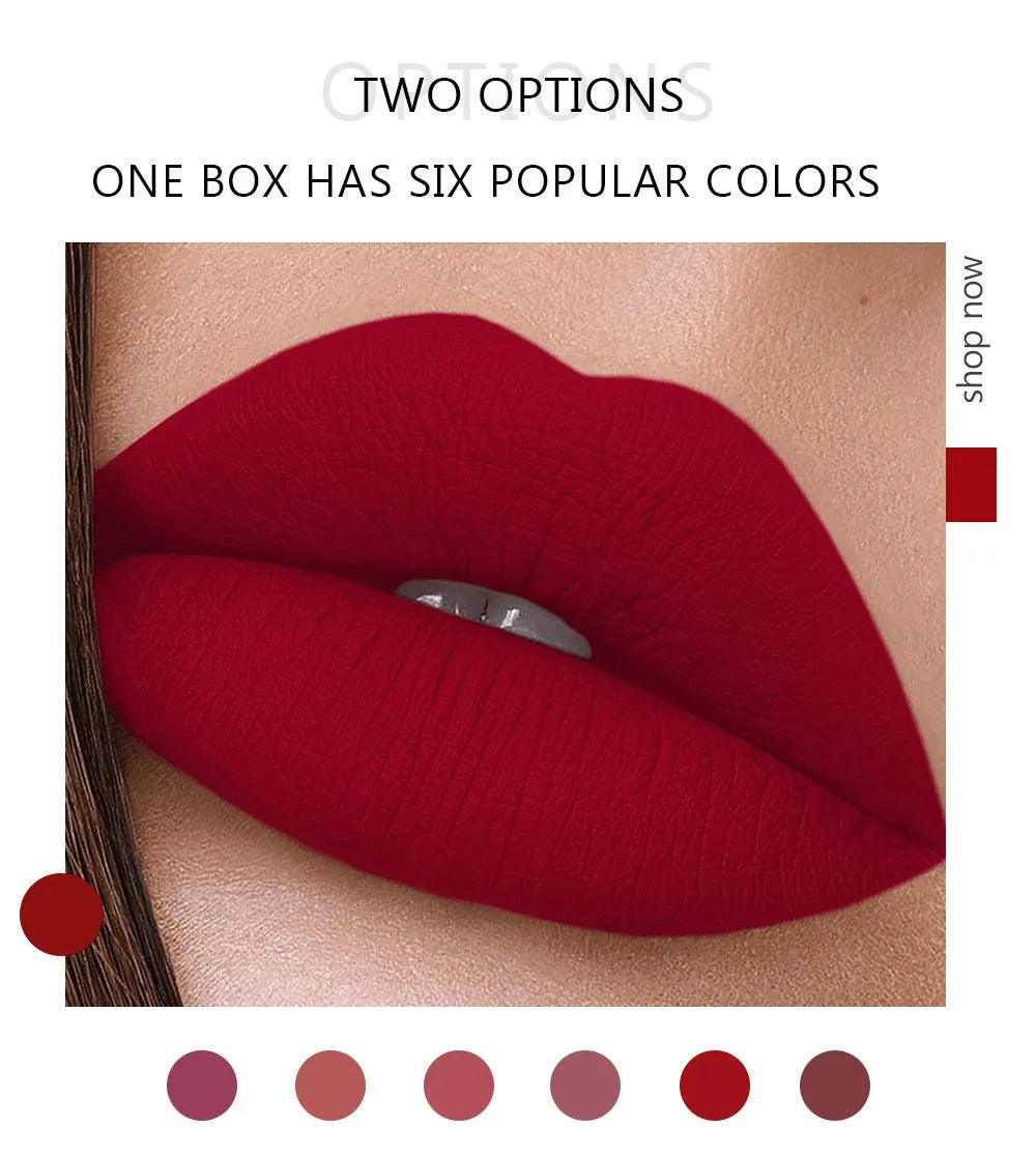 Velvet Matte Liquid Lipstick Set