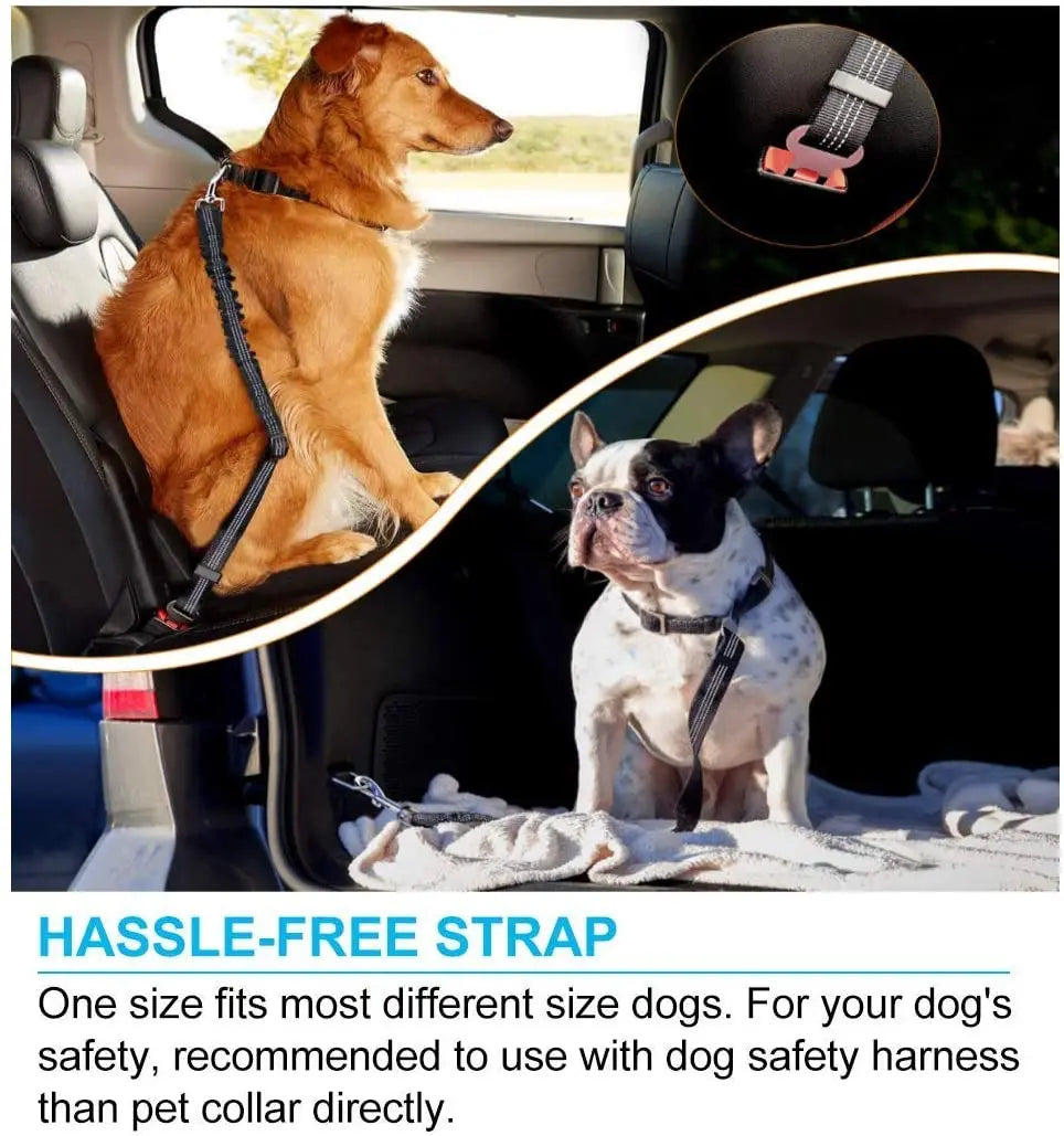 Adjustable Safety Seat Belt for Dogs and Cats - 9