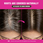 Instant Root and Gray Hair Concealer Stick