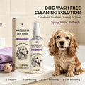 Waterless Dog Shampoo Spray for Quick Cleaning