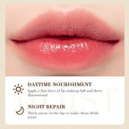 Hydrating Coconut Oil Lip Balm for Daily Moisturizing Care