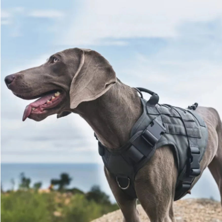 Tactical No-Pull Dog Training Harness