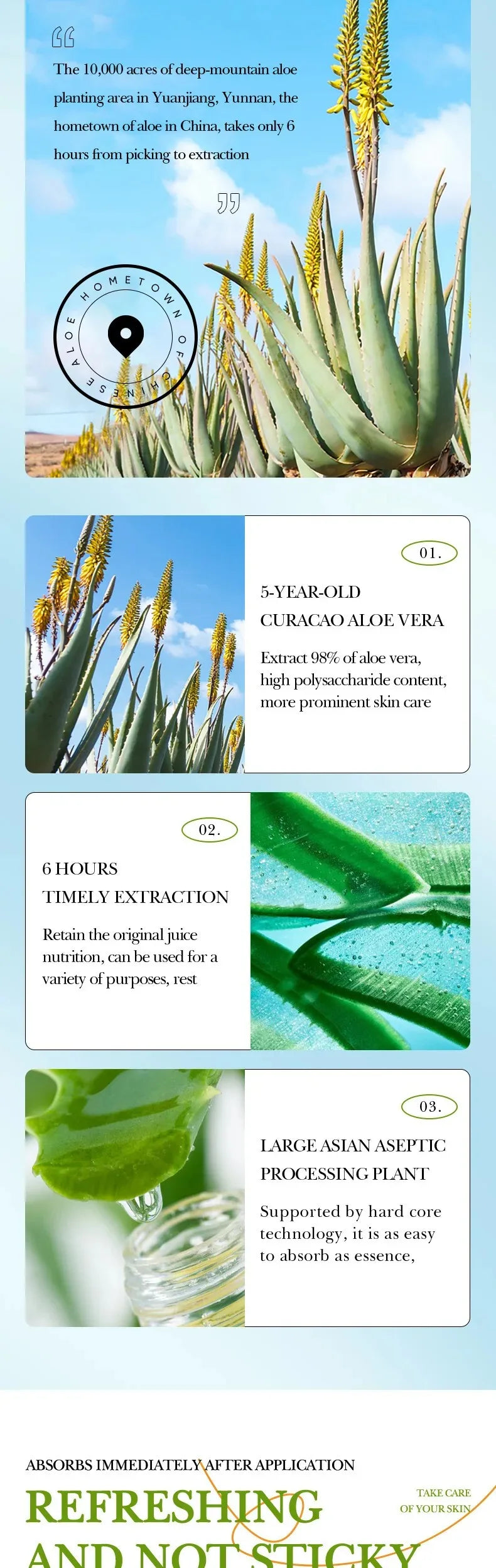 Aloe Vera Hydrating Lip Balm for Dry Chapped Lips - 10