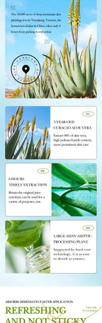 Aloe Vera Hydrating Lip Balm for Dry Chapped Lips