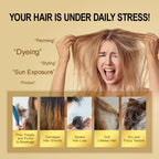 Amino Acid Hair Repair Oil for Dry and Damaged Hair