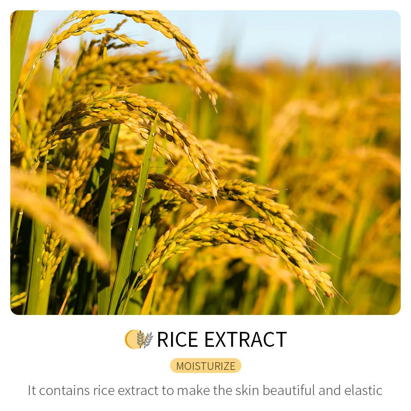 Hydrating Rice Extract Facial Sheet Mask