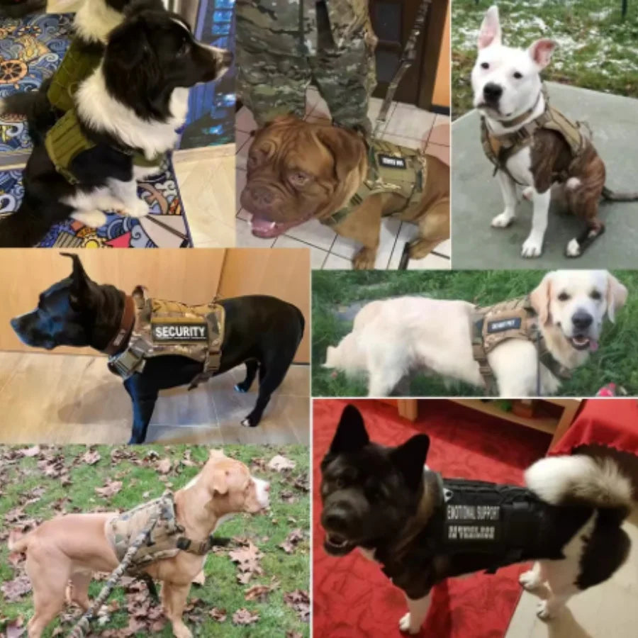 Tactical No-Pull Dog Training Harness