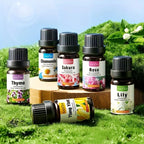 6-Piece Aromatic Essential Oil Set for Relaxation and Body Care