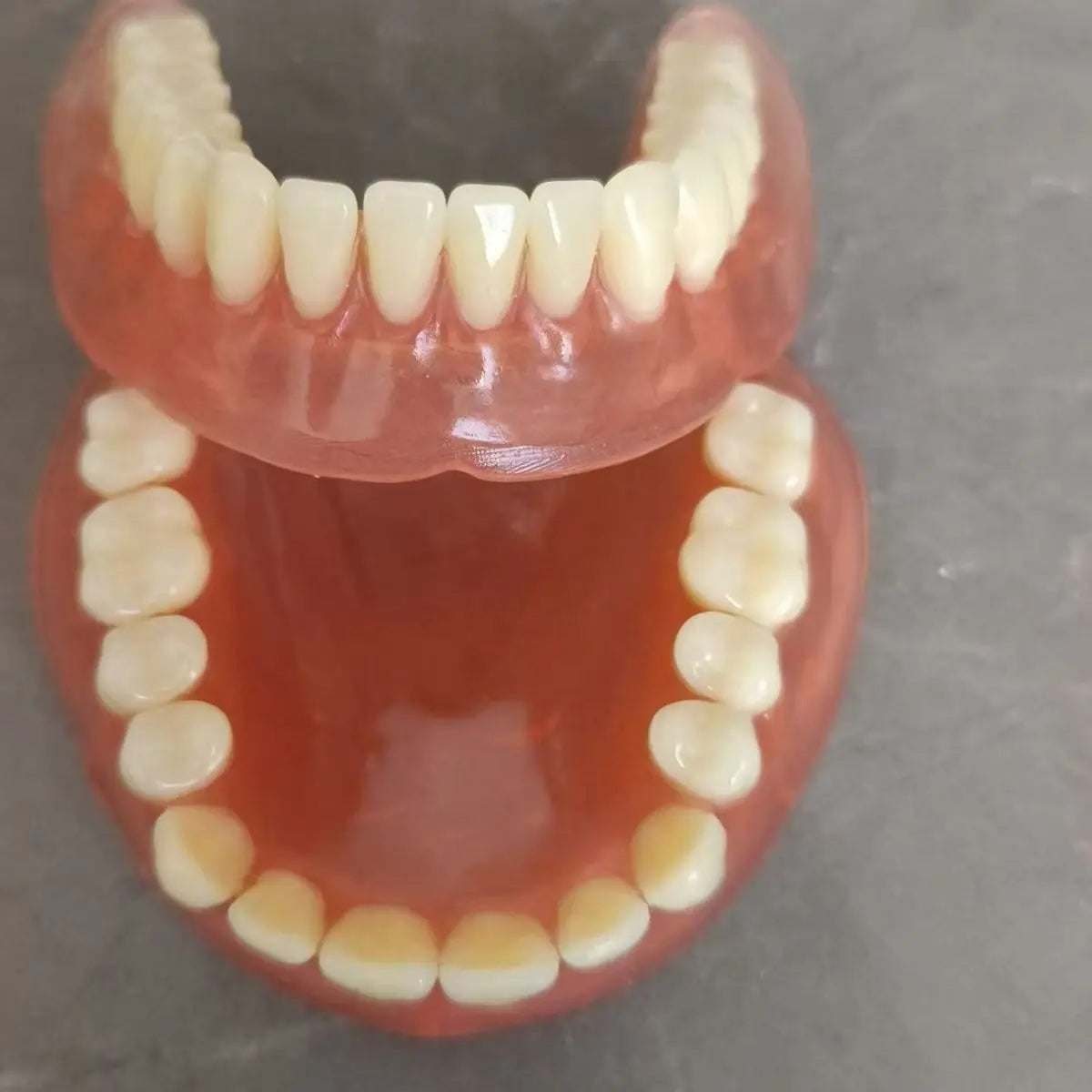 Full Mouth Denture Care and Travel Storage Set - 6
