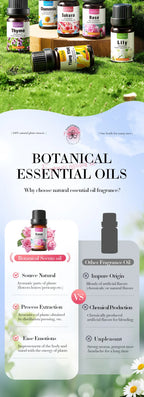 6-Piece Aromatic Essential Oil Set for Relaxation and Body Care