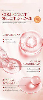 Anti-Aging Dragon Blood Facial Rejuvenation Serum