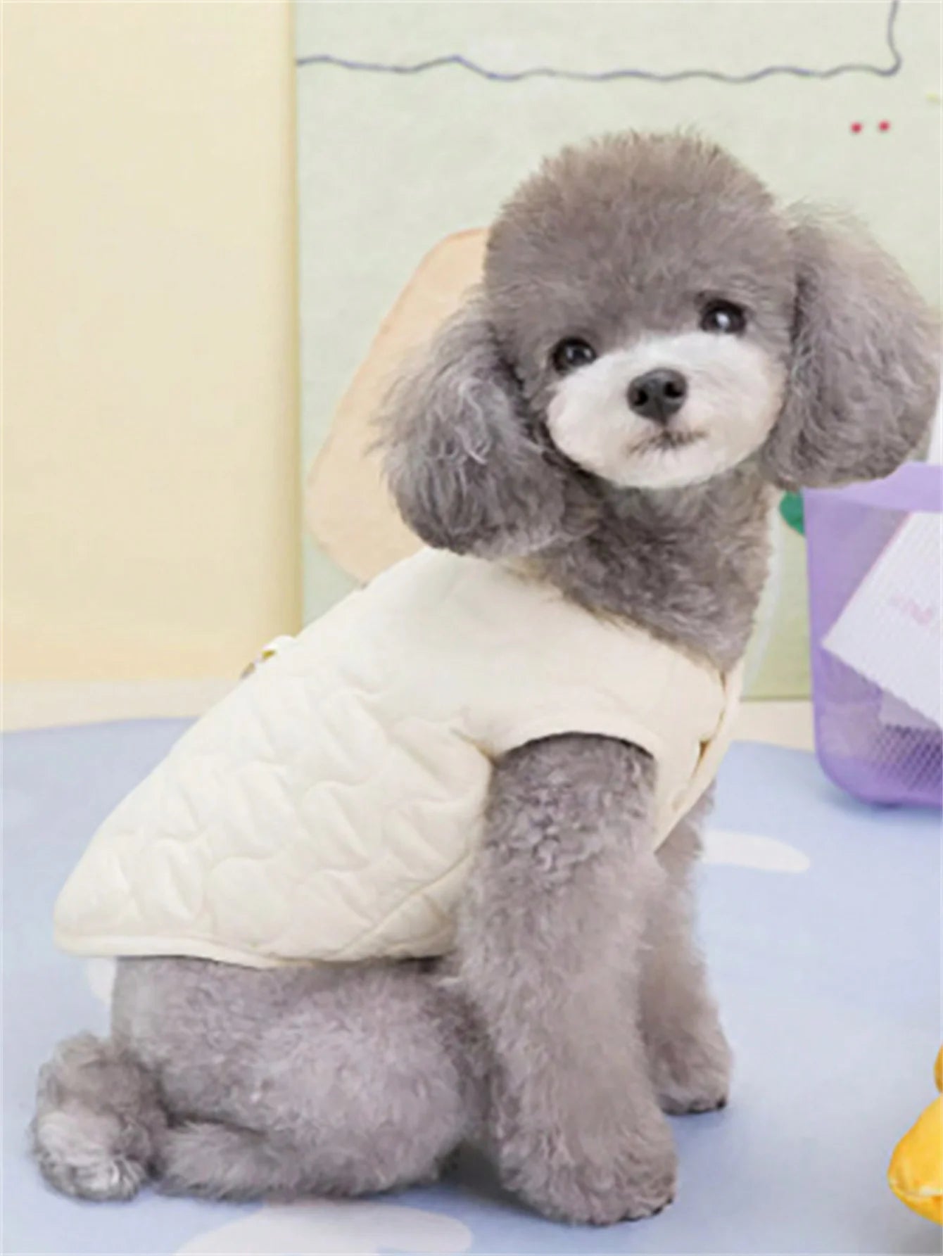 Insulated Winter Vest for Small and Medium Dogs - 12
