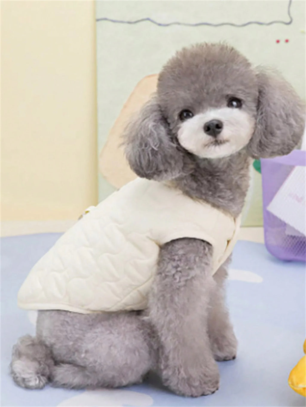 Insulated Winter Vest for Small and Medium Dogs