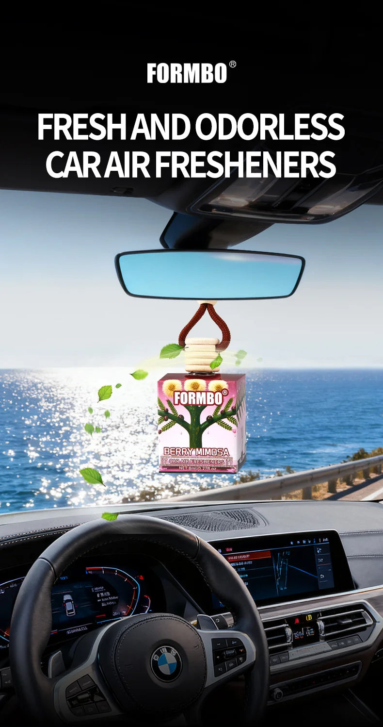Long-Lasting Hanging Car Air Freshener Set