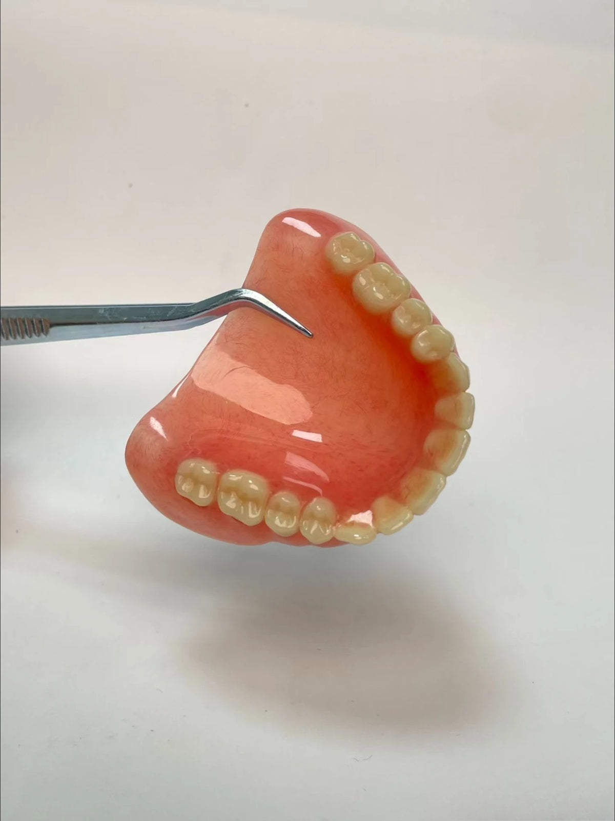 Temporary Instant Smile Moldable Denture Set