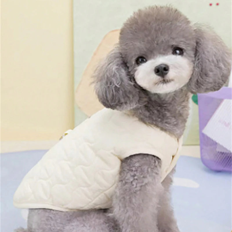 Insulated Winter Vest for Small and Medium Dogs