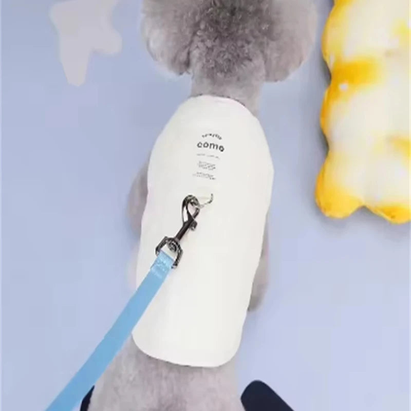 Insulated Winter Vest for Small and Medium Dogs