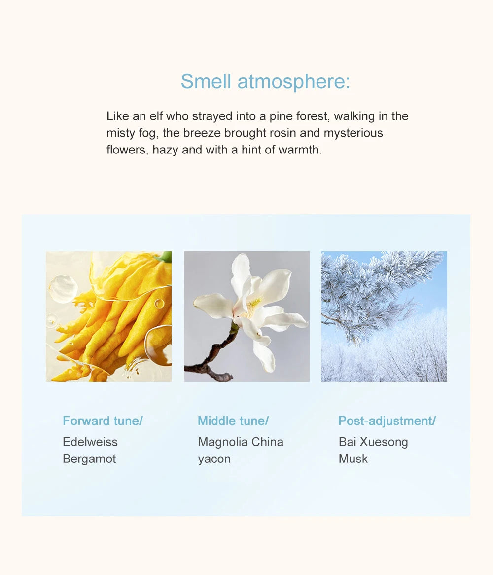 Portable Solid Perfume Balm Set for On-the-Go Fragrance - 16