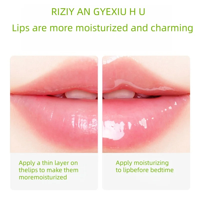 Aloe Vera Hydrating Lip Balm for Dry Lips