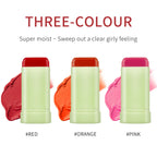 3-in-1 Tinted Moisturizing Blush and Lip Stick
