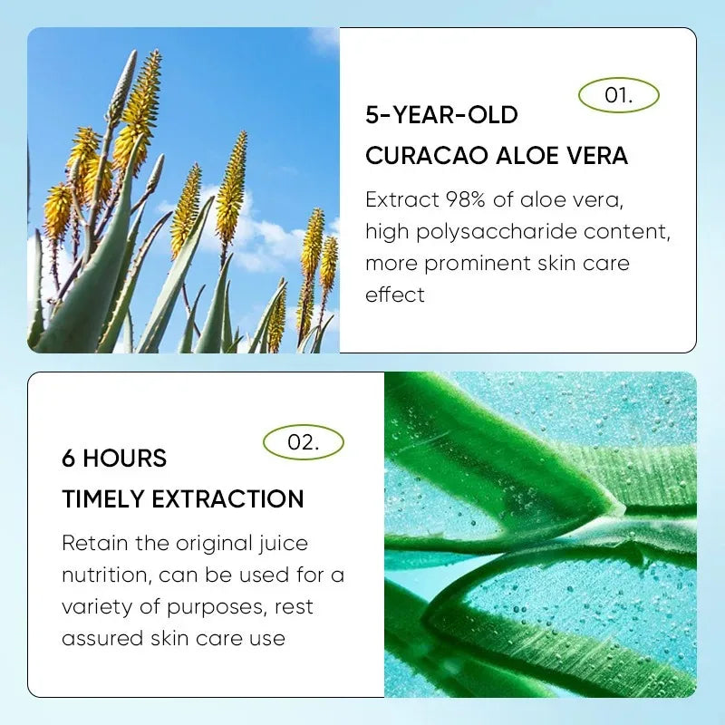Aloe Vera Hydrating Lip Balm for Dry Chapped Lips