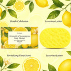Exfoliating Lemongrass Bath Sponge for Deep Skin Cleansing