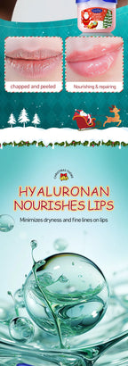 Hydrating Moisturizing Lip Balm Set for Dry Cracked Lips