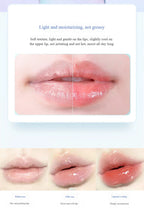Hydrating Honey Lip Essence Oil for Dry Lips