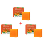 Persimmon Odor-Reducing Exfoliating Soap Bar