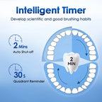 3D Rotating Electric Toothbrush for Deep Cleaning