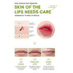 Aloe Vera Hydrating and Repairing Lip Balm