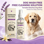 Waterless Dog Shampoo Spray for Quick Cleaning
