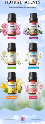 6-Piece Aromatic Essential Oil Set for Relaxation and Body Care