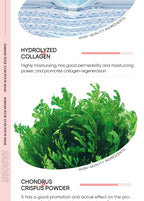 Rose Collagen Hydrating Eye Mask Patches