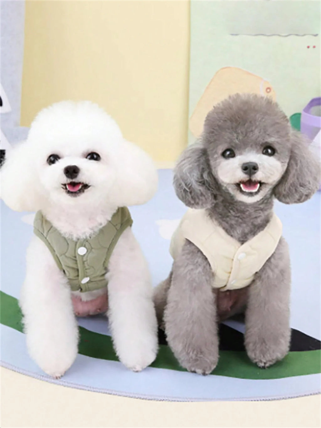 Insulated Winter Vest for Small and Medium Dogs