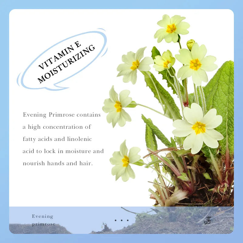 Vitamin E Moisturizing Hand Cream for Smooth Skin