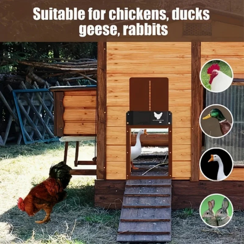 Automatic Light-Sensing Chicken Coop Door - 1