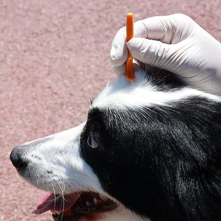Professional Tick and Flea Removal Tool Set for Pets