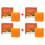 Persimmon Odor-Reducing Exfoliating Soap Bar