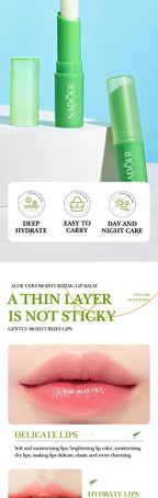 Aloe Vera Hydrating Lip Balm for Dry Chapped Lips