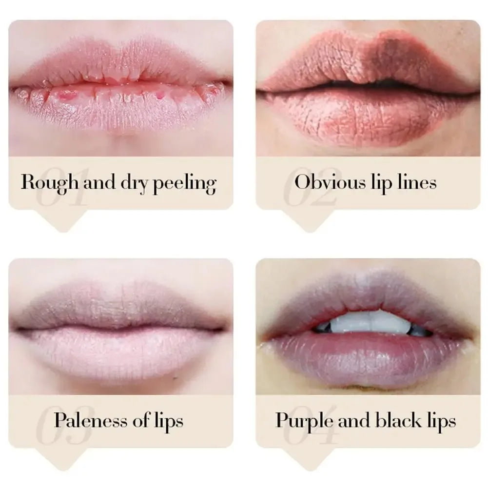 Coconut Moisturizing Lip Balm for Daily Dry Lip Relief